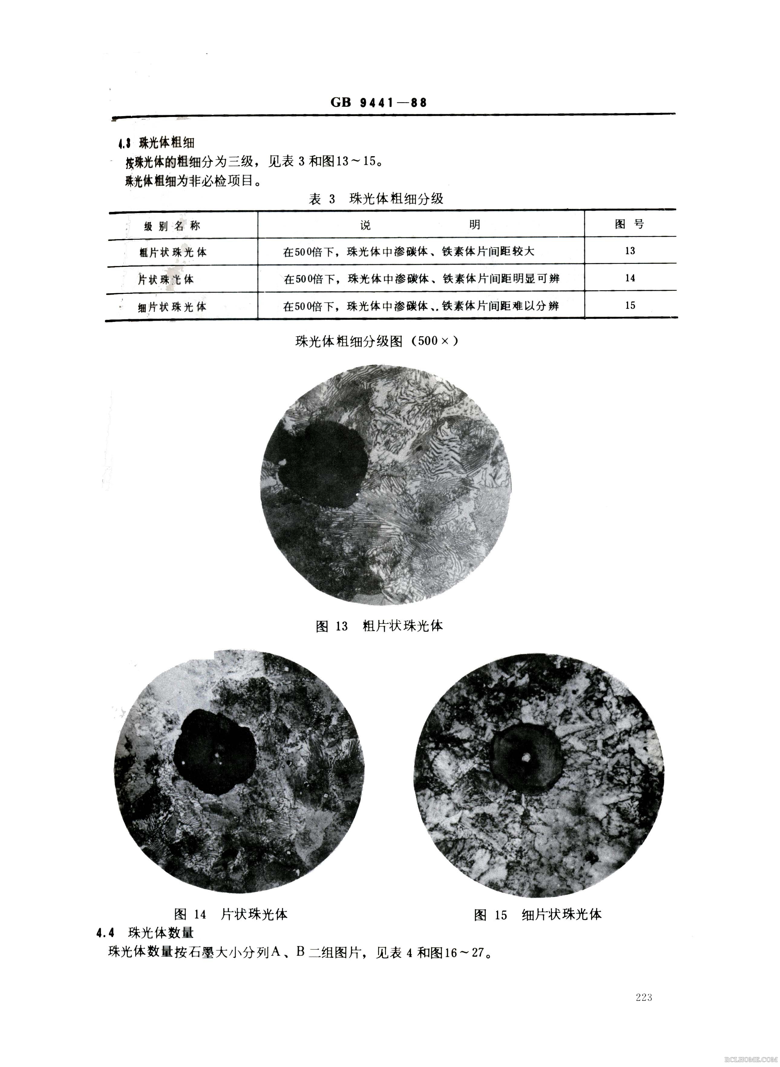 球铁金相005.Jpg