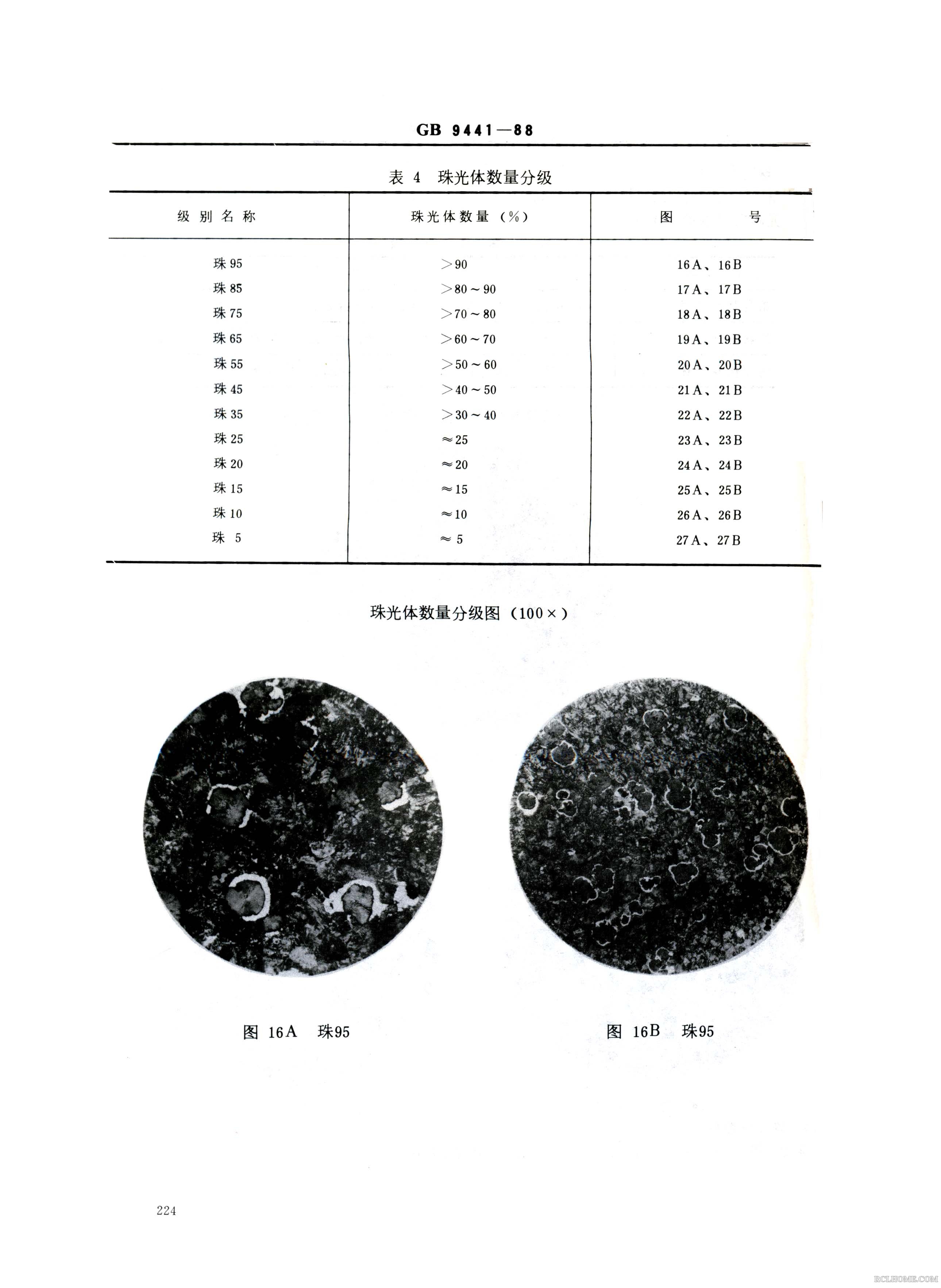 球铁金相006.Jpg