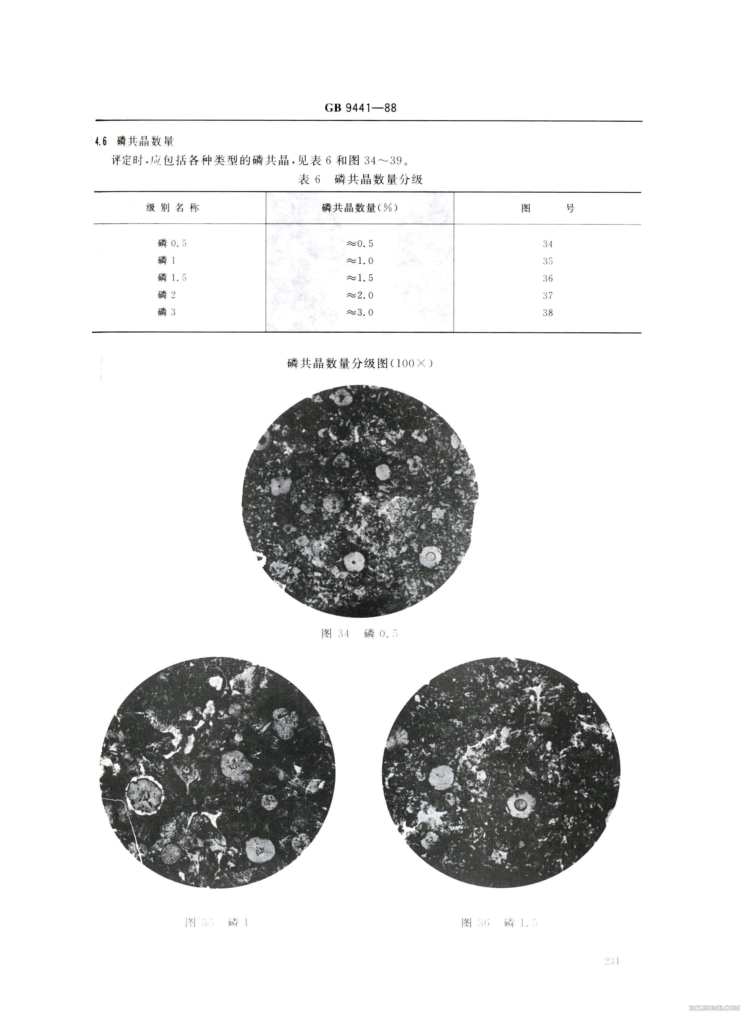 球铁金相013.Jpg