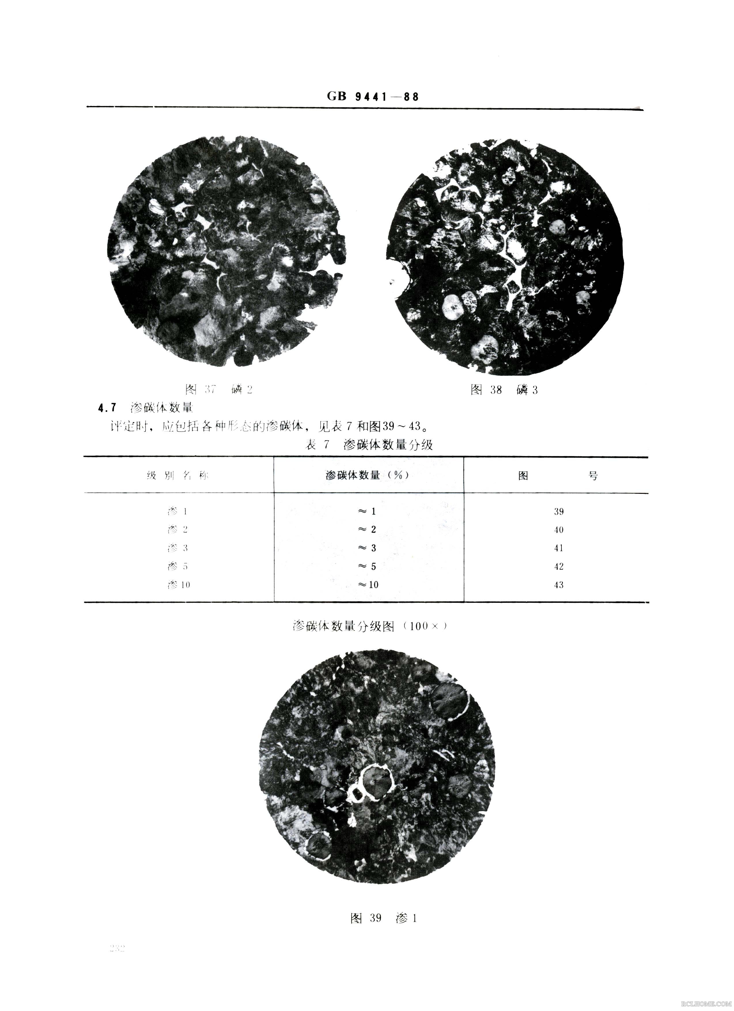 球铁金相014.Jpg