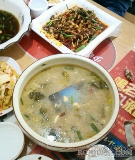 2af7d85dc2888c09.jpg