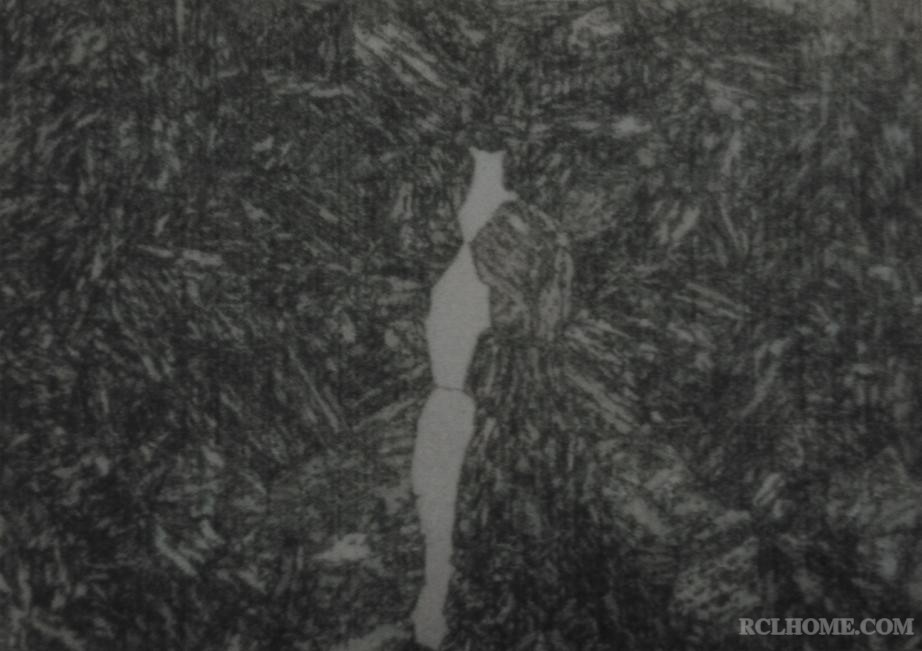 M F少 500倍.JPG