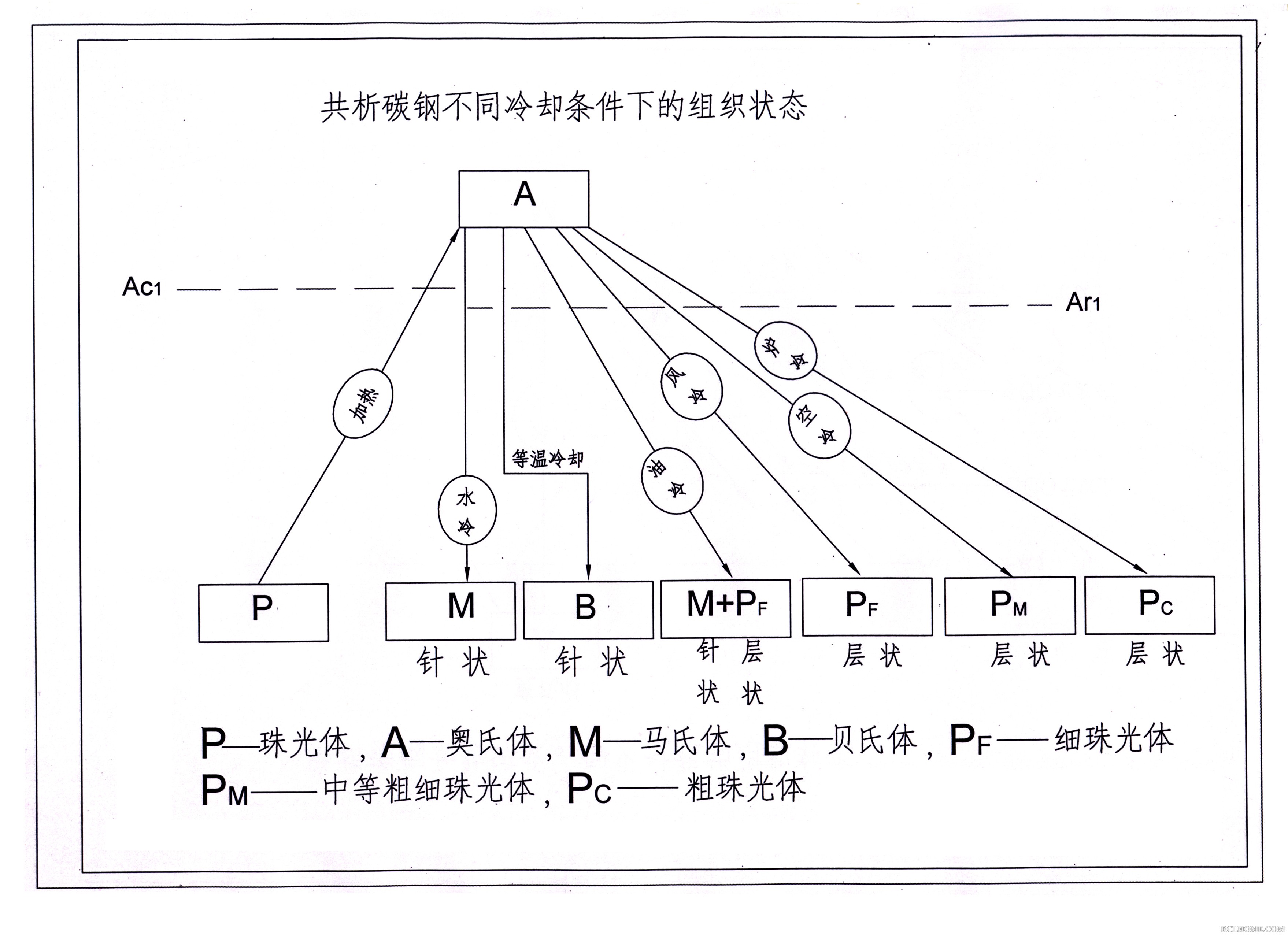 共析钢组织转变02.Jpg