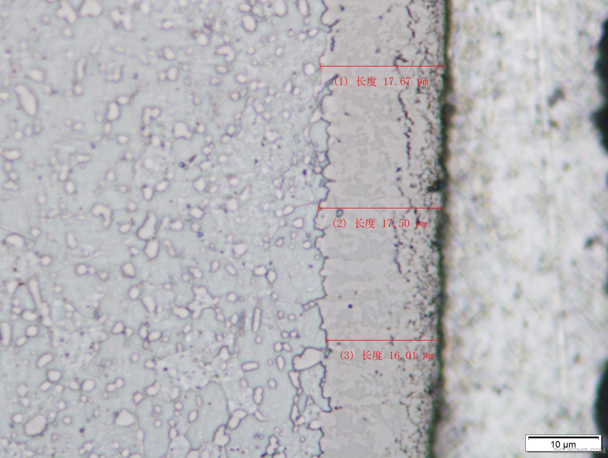 65Mn570℃×8h软氮化-01（1000×）.JPG