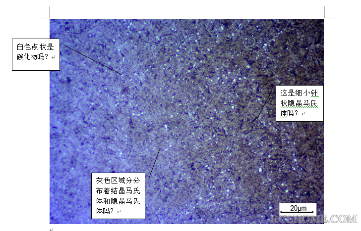 GCr15明场浅腐蚀500倍金相组织.png